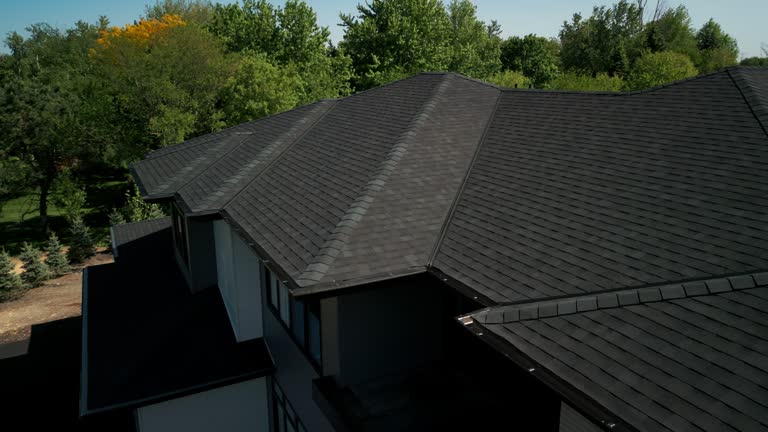 Best Sheet Metal Roofing  in Frankenmuth, MI